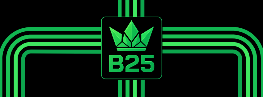 B25 Ventures Access Pass Collection