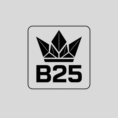 B25 Ventures Logo